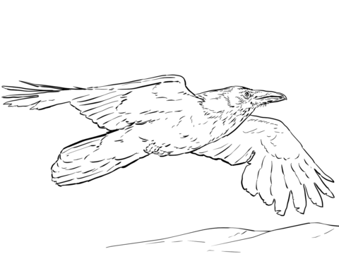 Flying Raven Coloring Page